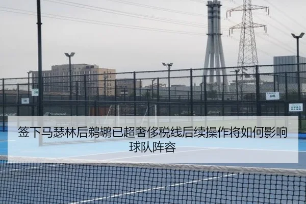 签下马瑟林后鹈鹕已超奢侈税线后续操作将如何影响球队阵容（LeyuSports）